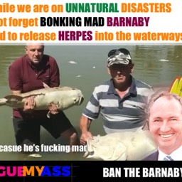 Barnaby Joyce Herpes Murray Darling