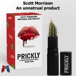SCOTT MORRISON MAD